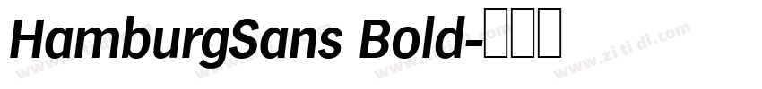 HamburgSans Bold字体转换